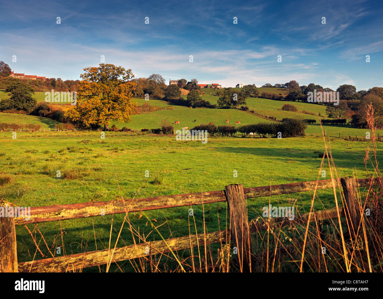 Ein Blick auf einen kleinen Abschnitt des Esk Valley in North Yorkshire im Frühherbst Stockfoto