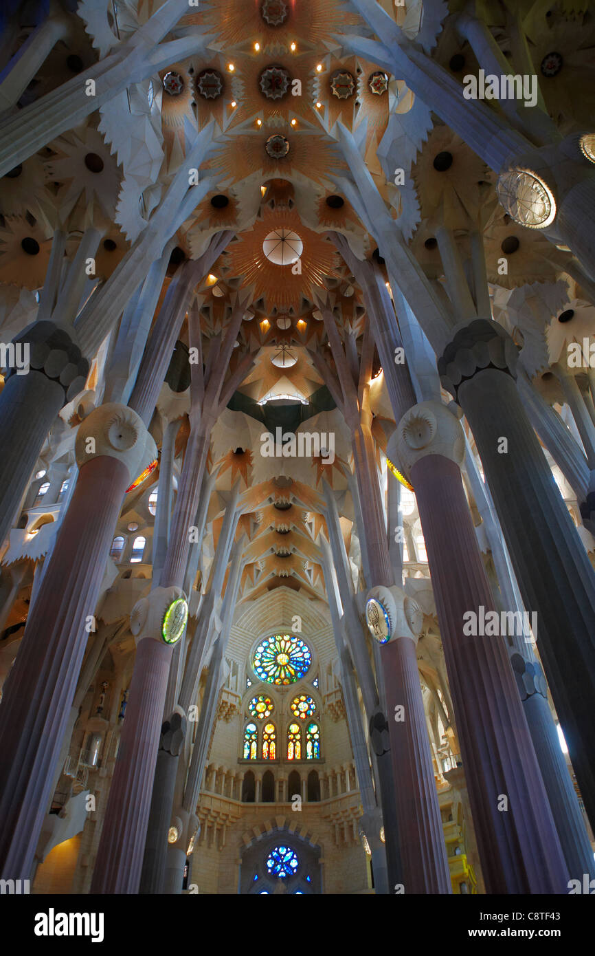 Innenraum der Kirche Sagrada Familia oder Expiatory Kirche der Heiligen Familie. Barcelona, Katalonien, Spanien. Stockfoto