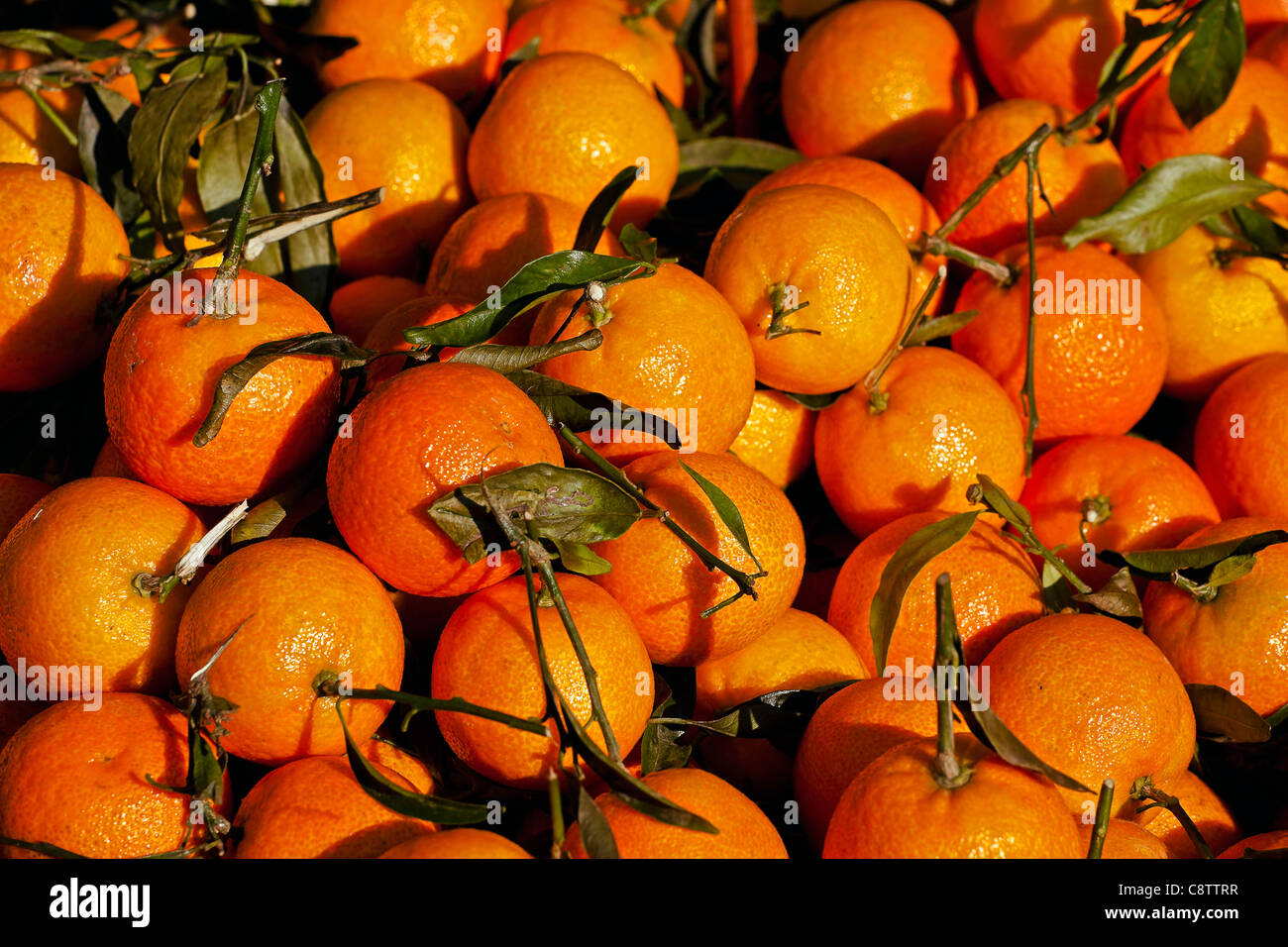 einige Mandarinen in einem Haufen an einem Marktstand Stockfoto
