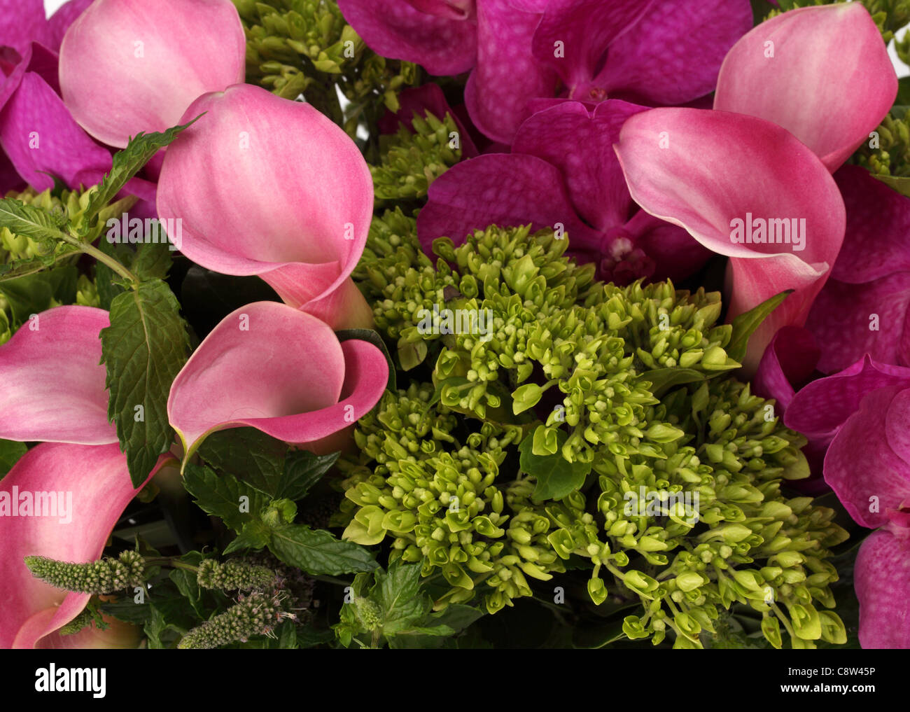 Eine Nahaufnahme von einem bunten Blumenstrauß. Rosa Calla-Lilien, lila Vanda Orchideen, grüne unbekannte sprühen. Stockfoto