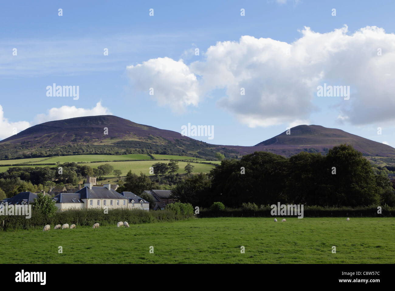 Eildon Hügeln hinter Melrose Scottish Borders Stockfoto