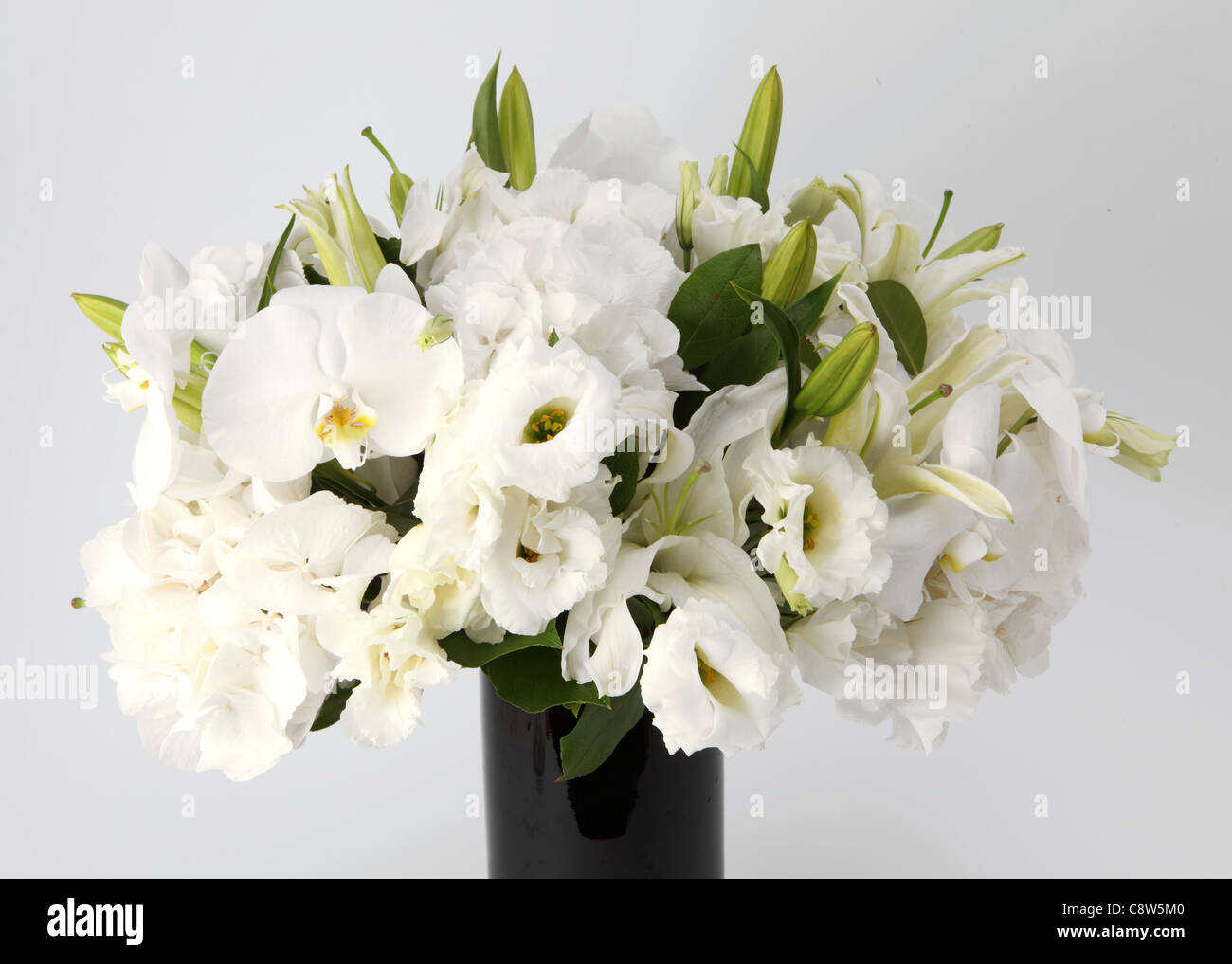 Eine Nahaufnahme der ein bunter Strauß von weißen Blumen in einer Vase. Stockfoto