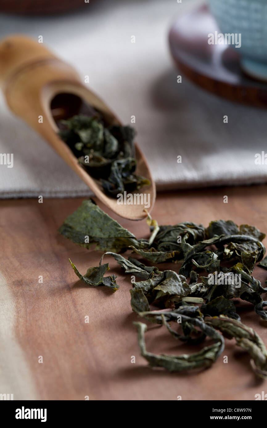 Bio Blatt In einem Löffel Stockfoto