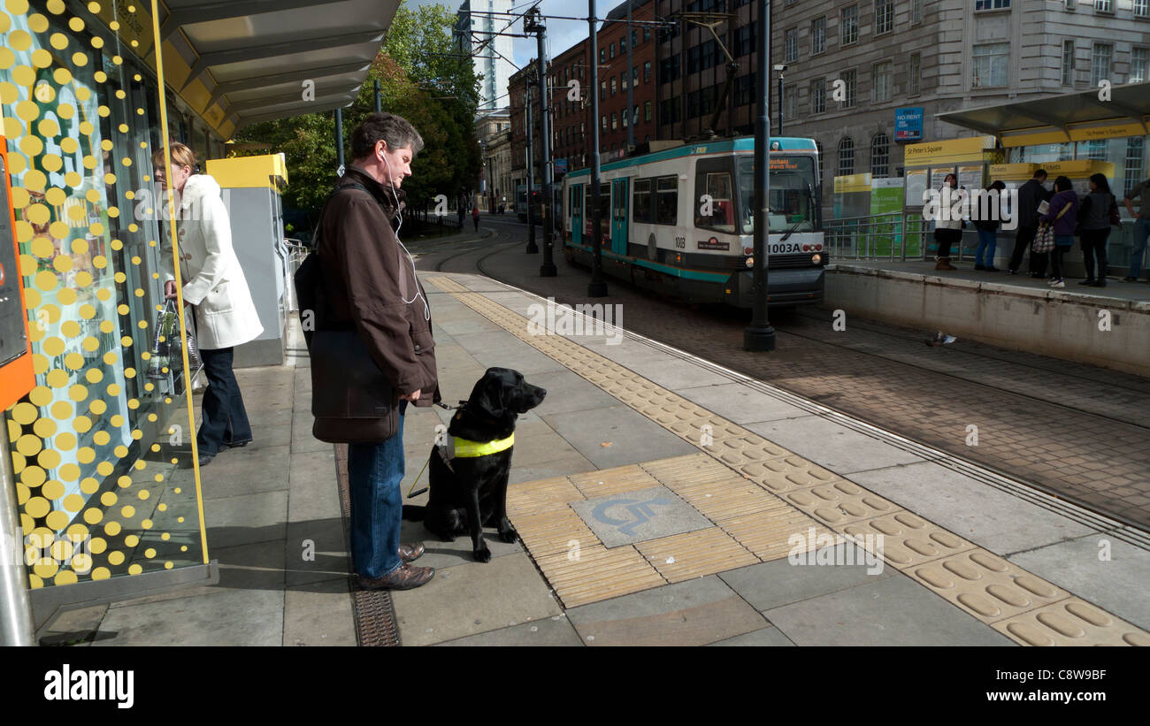 Ein Blinder mit einem Blindenhund Hund warten auf eine Straßenbahn Manchester England UK KATHY DEWITT Stockfoto