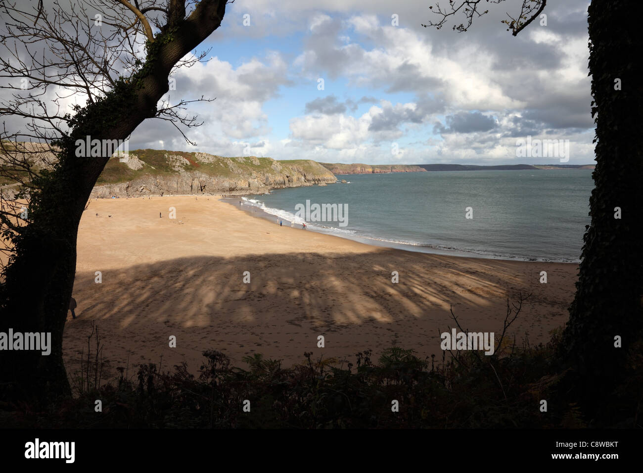 Am Strand von Barafundle Bay aus dem Pembrokeshire Coastal Path Pembrokeshire Nationalpark Wales Cymru UK GB Stockfoto