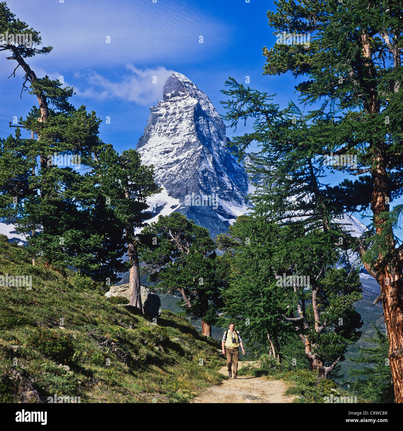 Wanderer auf Trail mit Arolla Pinien und Matterhorn Zermatt Wallis Schweiz Stockfoto