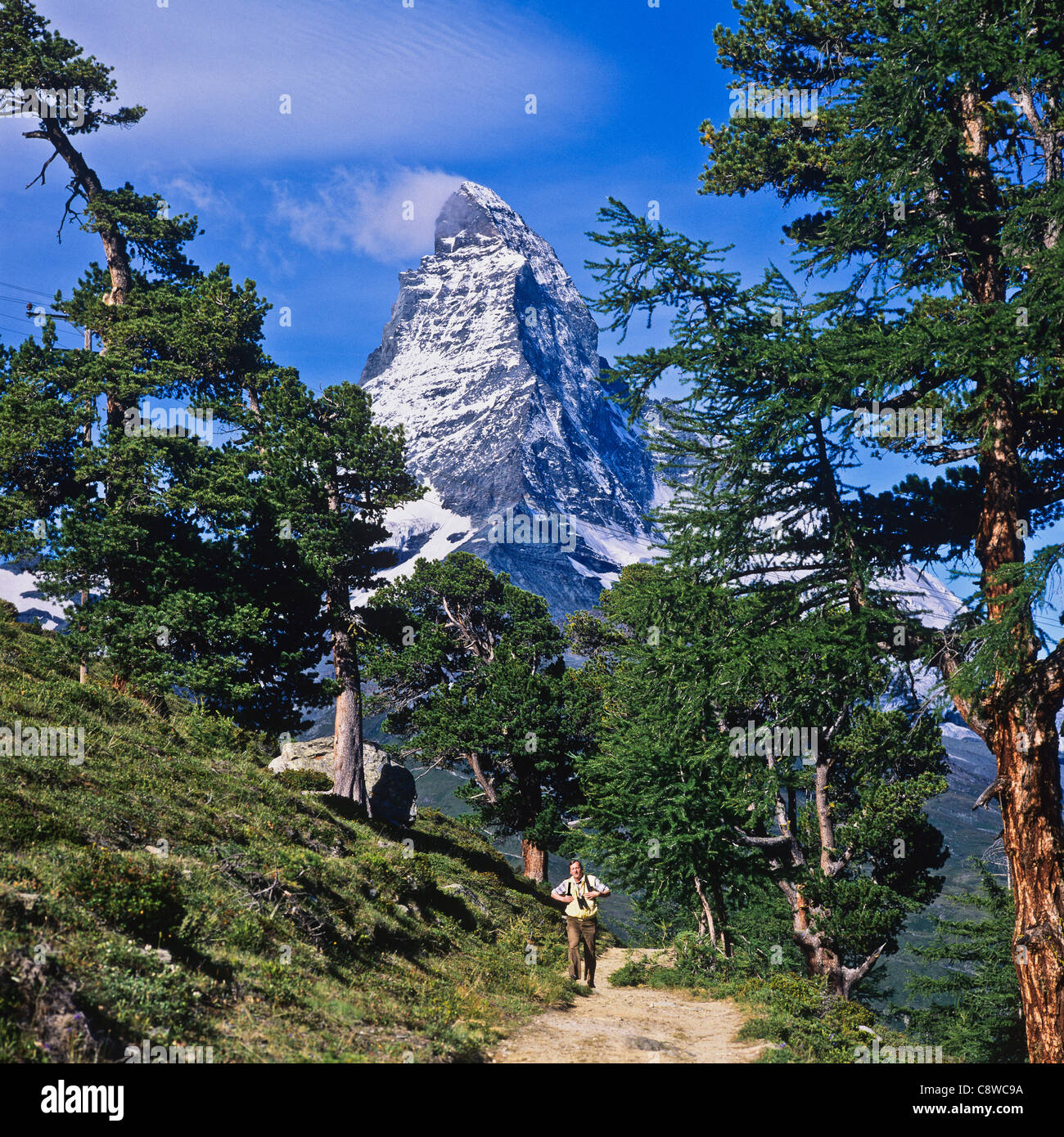 Wanderer auf Trail mit Arolla Pinien und Matterhorn Zermatt Wallis Schweiz Stockfoto