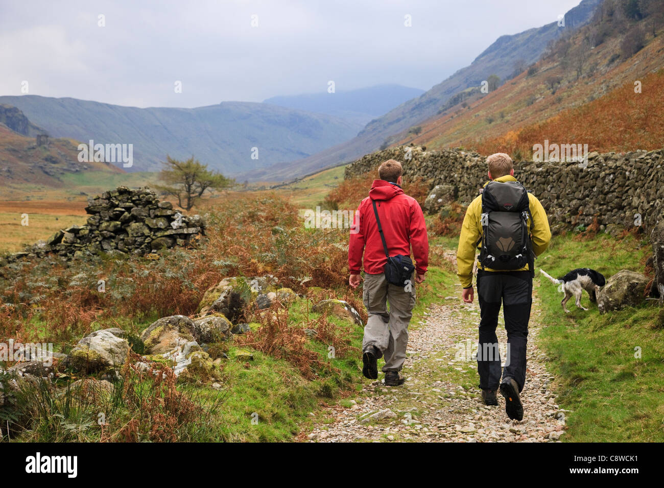 Zwei Männer und ein Hund zu Fuß auf Land Spaziergang durch Langstrath Valley Lake District National Park im Herbst. Borrowdale Cumbria England Großbritannien Stockfoto