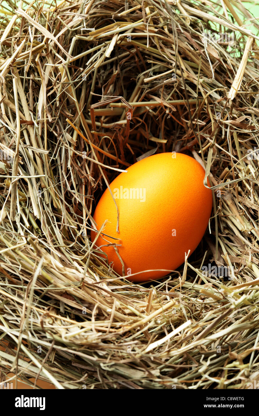 Nest mit orange Osterei hautnah Stockfoto
