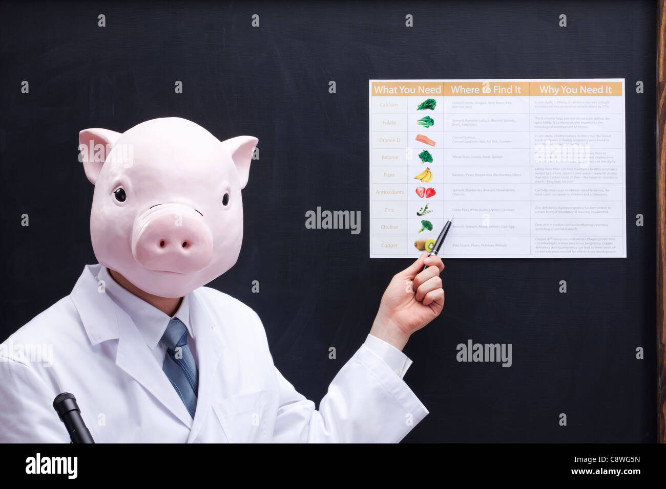 Pig Head Ernährungsberaterin Ernährung Diagramm auf Tafel zeigt Stockfoto