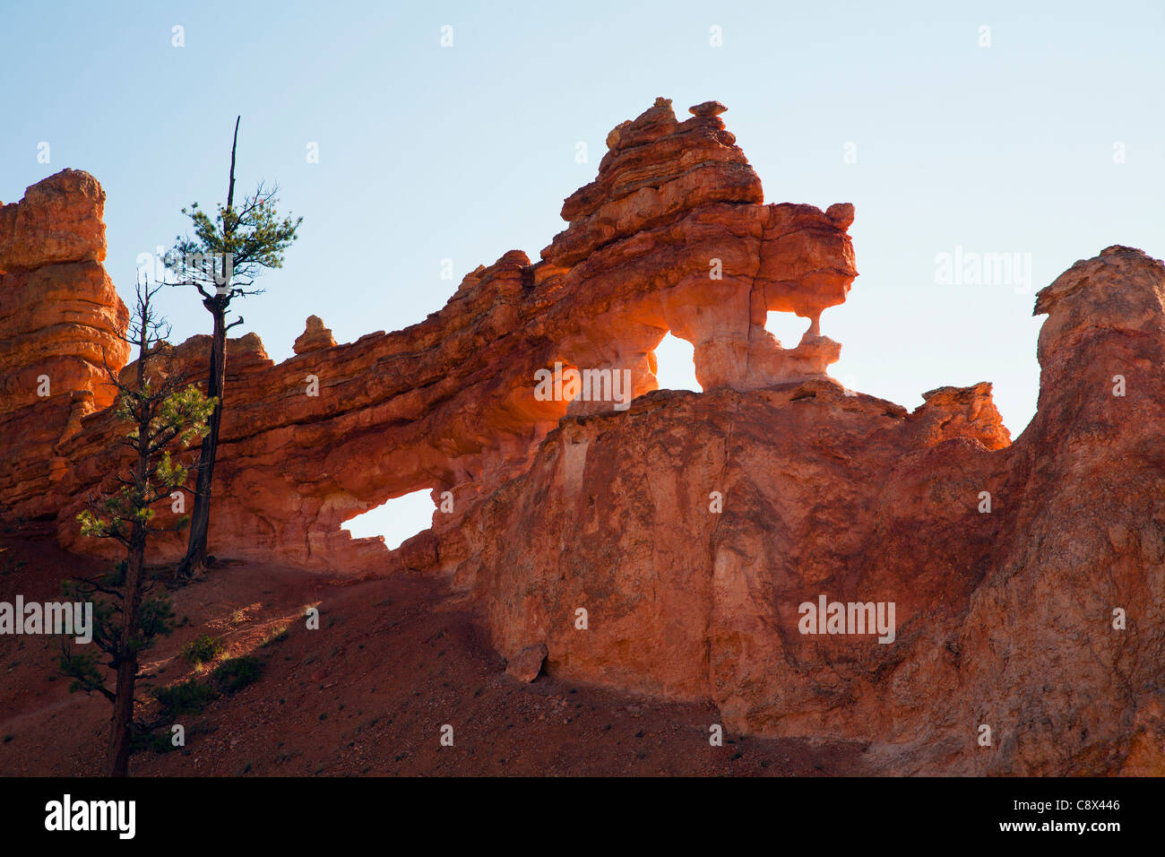Erosion, Mossy Trail, Bryce Canyon Rock Stockfoto