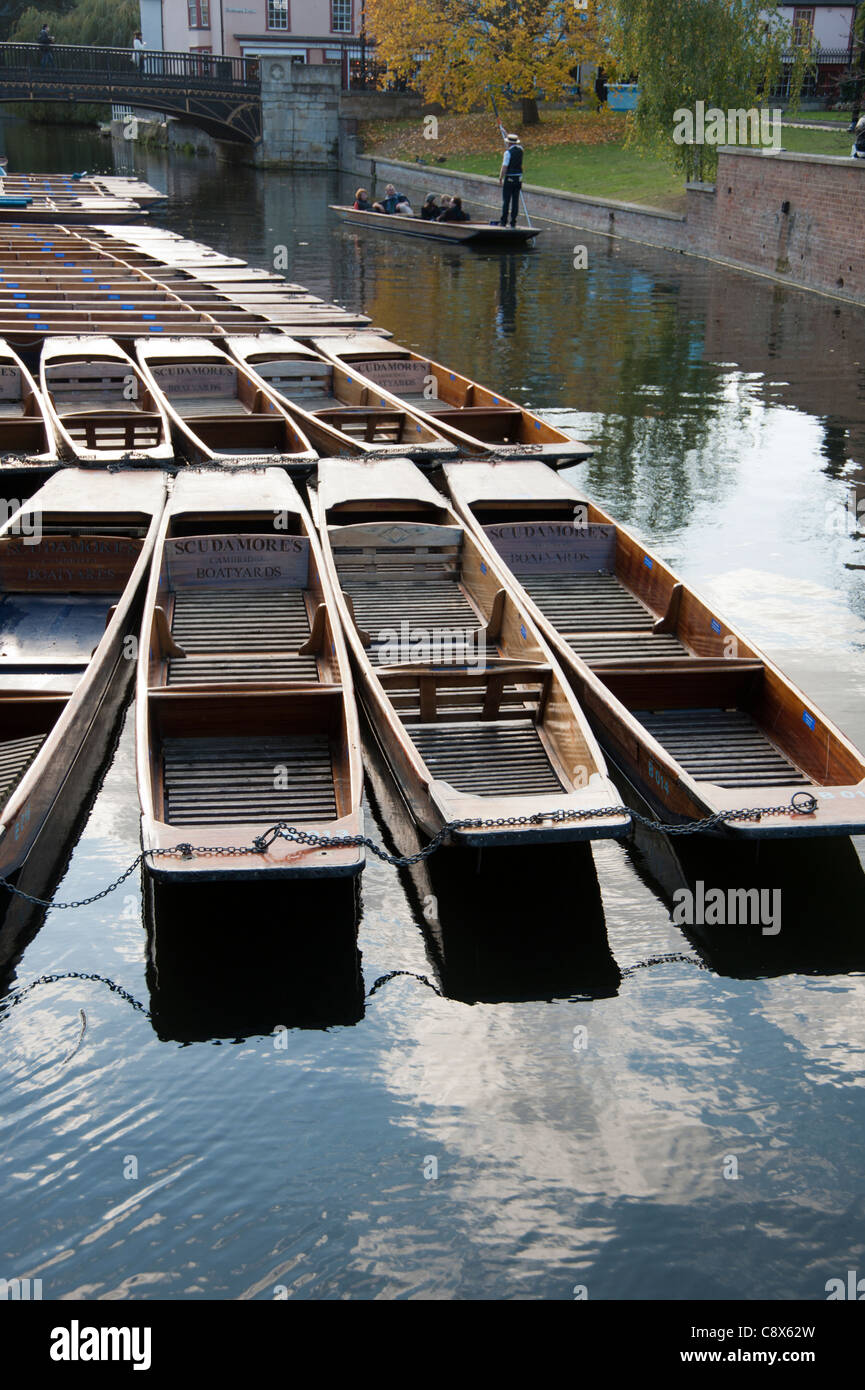 Stocherkähne aufgereiht bereit zu mieten in Scudamores Bootswerft Kai Cambridge England UK Stockfoto