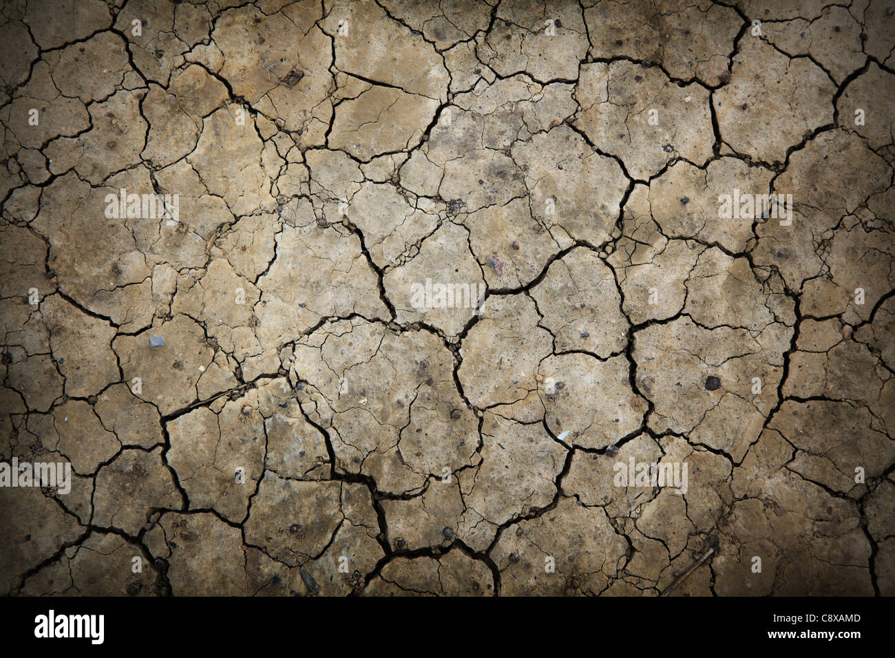 Detail des trockene rissige Erde hautnah. Stockfoto