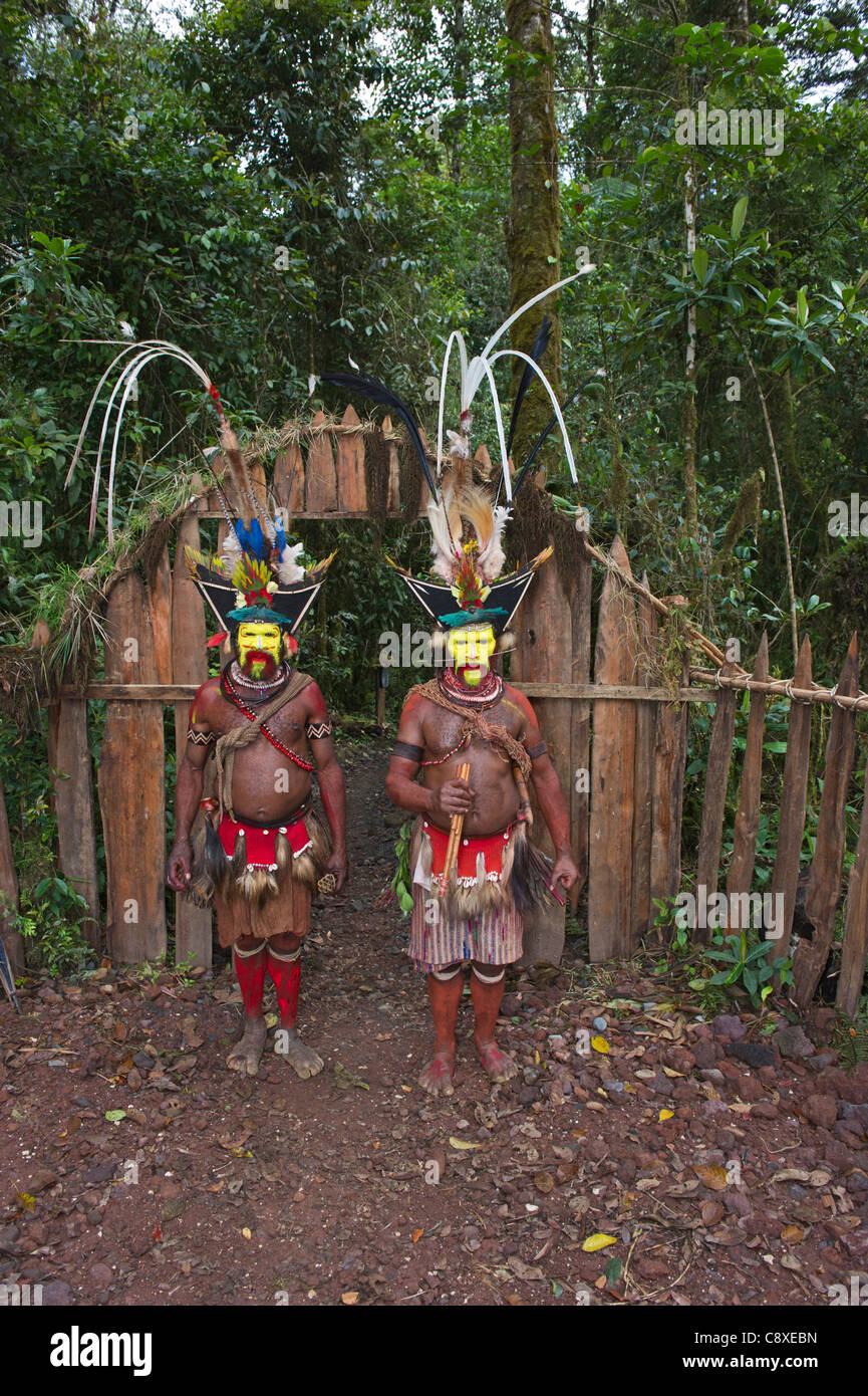 Huli Perücke-Männer im Makara Bird View Lodge Tari Papua New Guinea Stockfoto