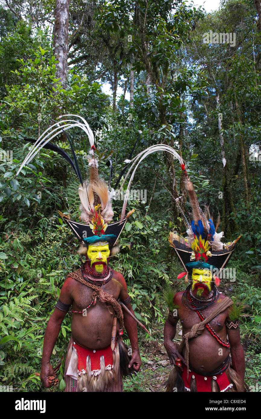 Huli Wigmen Tari Valley Highlands-Papua-Neuguinea Stockfoto