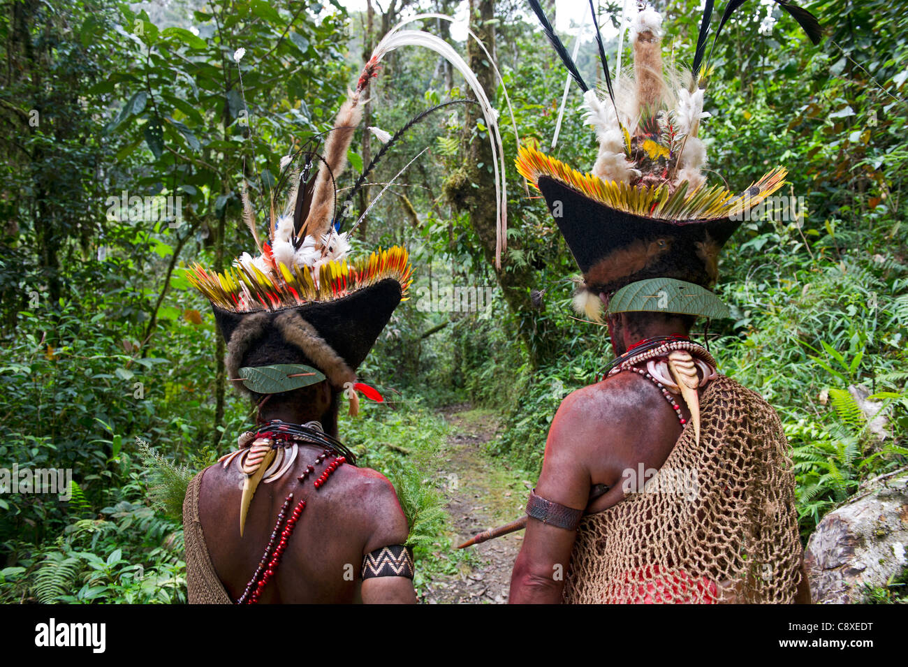 Huli Wigmen mit Blyth Hornbill bezeichnet als Halskette Dekoration Tari Southern Highlands-Papua-Neu-Guinea Stockfoto