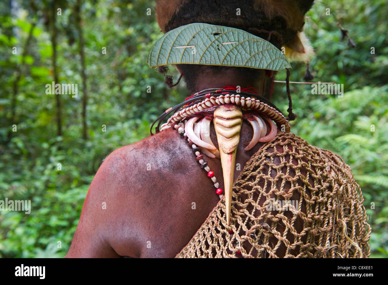 Huli Wigmen mit Blyth Hornbill bezeichnet als Halskette Dekoration Tari Southern Highlands-Papua-Neu-Guinea Stockfoto