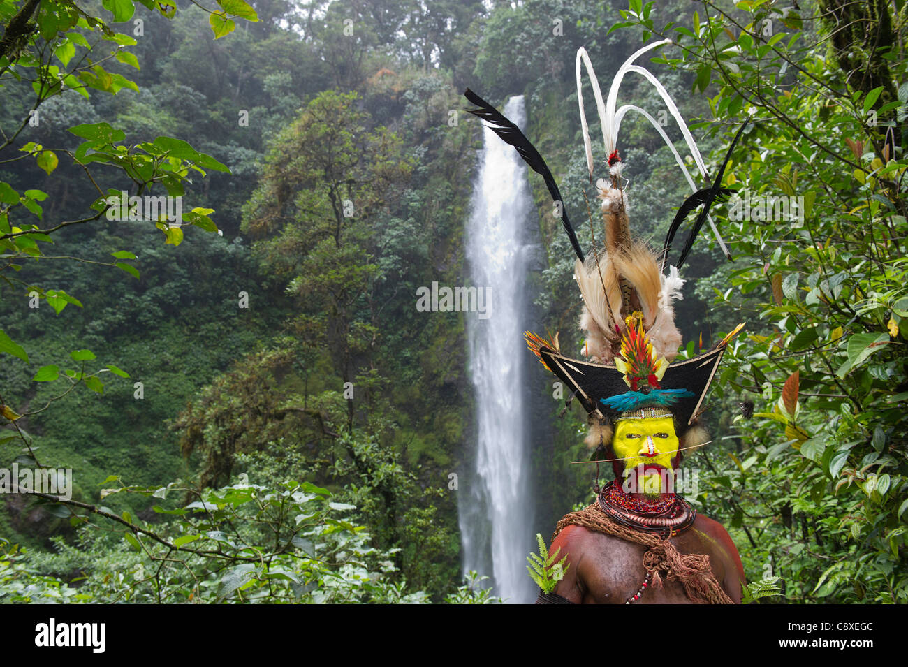 Timan Thumbu Huli Wigman von Tari Southern Highlands-Papua-Neuguinea Stockfoto