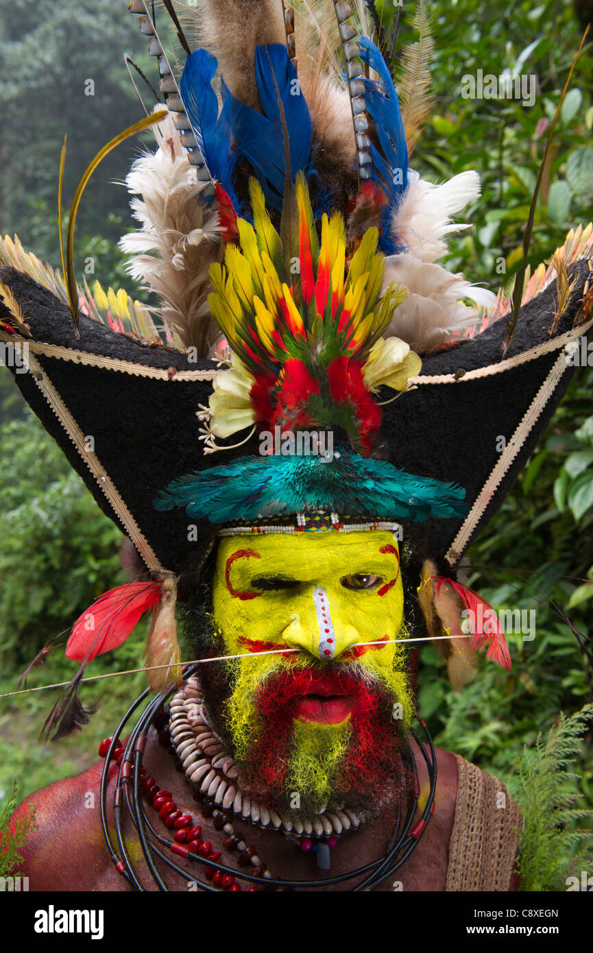 Huli Wigman von Tari Southern Highlands-Papua-Neuguinea Stockfoto