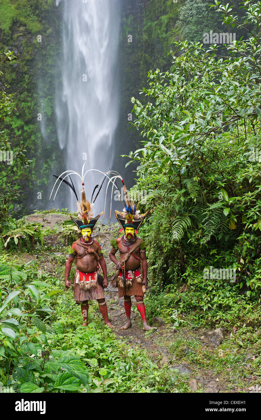 Timan Tumbo und Hale Johu Huli Wigmen geschmückt in Paradiesvogel Federn Tari Valley Papua New Guinea Stockfoto