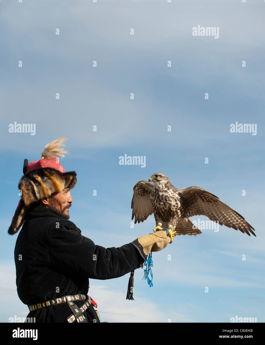 Kazhak Falkner mit Saker Falcon Eagle Jäger Festival in der westlichen Mongolei Stockfoto