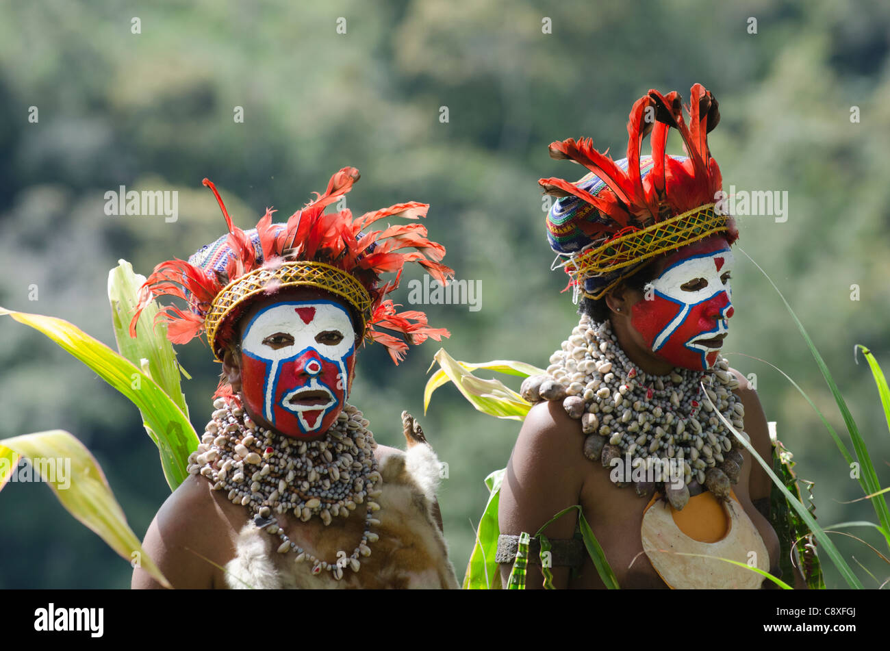 Westlichen Hochländer Vorbereitung für ein Sing-Sing auf der Paiya Messe im westlichen Hochland in der Nähe von Mt Hagen Papua Neuguinea Stockfoto