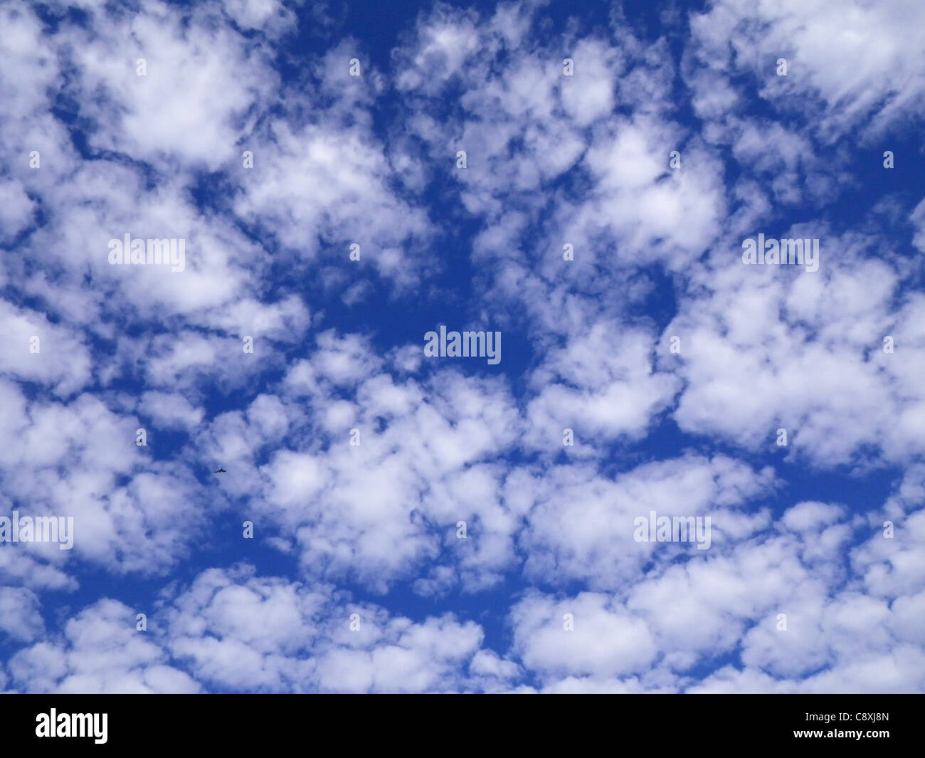 Morgenwolken in Arizona Stockfoto