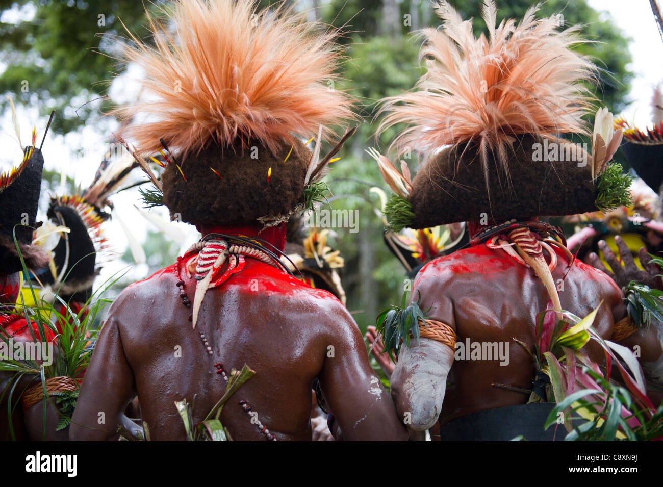 Huli Wigmen Dreseed in zeremoniellen Kopf Kleider der Paradiesvogel Federn und Schminken für Sing-Sing Tari Valley südlichen Stockfoto