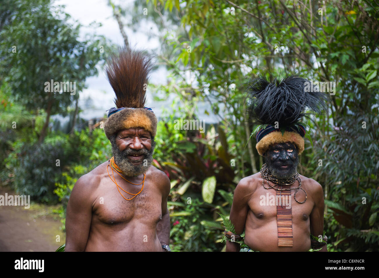 Clan-Chefs bei Paiya im westlichen Hochland Papua-Neuguinea Hinweis Kasuar Feder Kopf Kleider Stockfoto