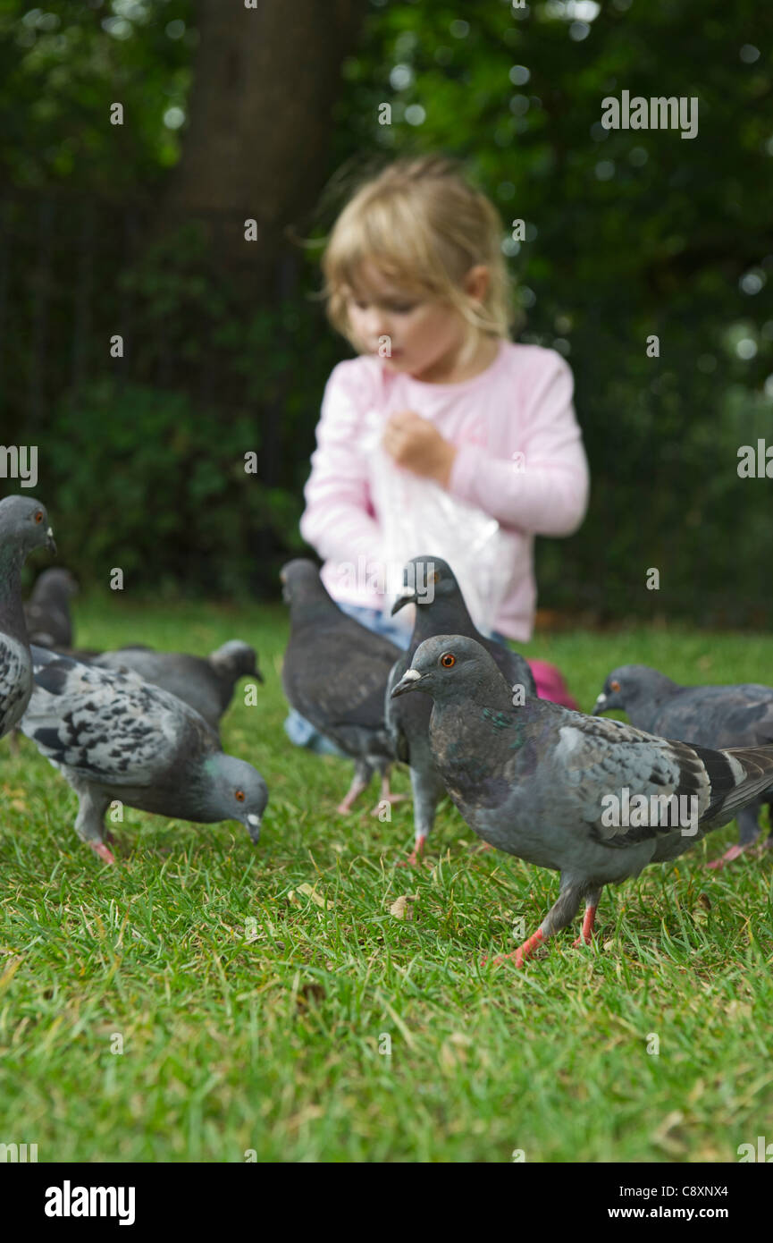 Junges Mädchen im Park Tonbridge, Kent Sommer wilde Tauben füttern Stockfoto