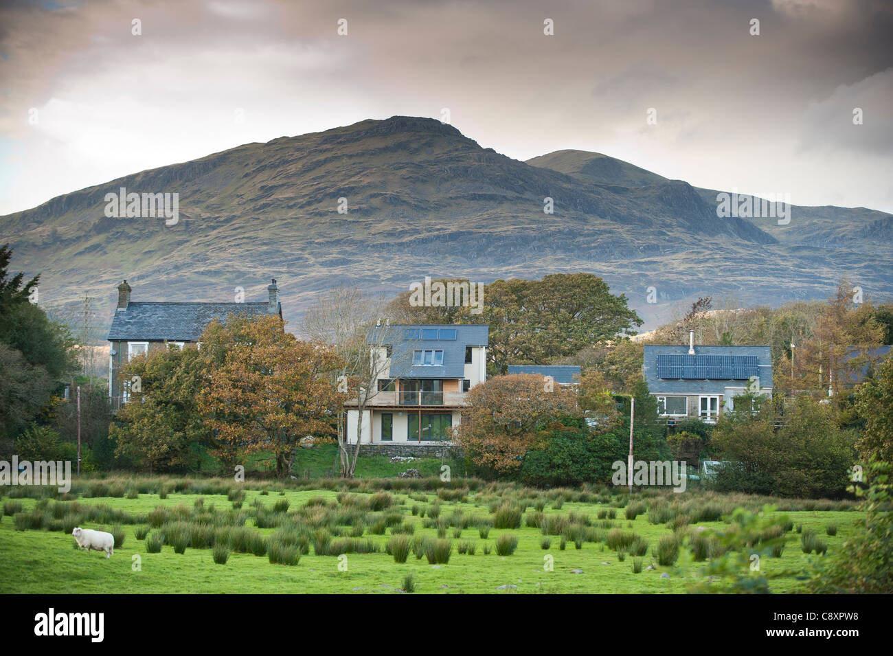 Moelwyn-Bach und Moelwyn Mawr Berge hinter Häusern in Gellilydan Dorf, Gwynedd, Snowdonia, North Wales, UK Stockfoto