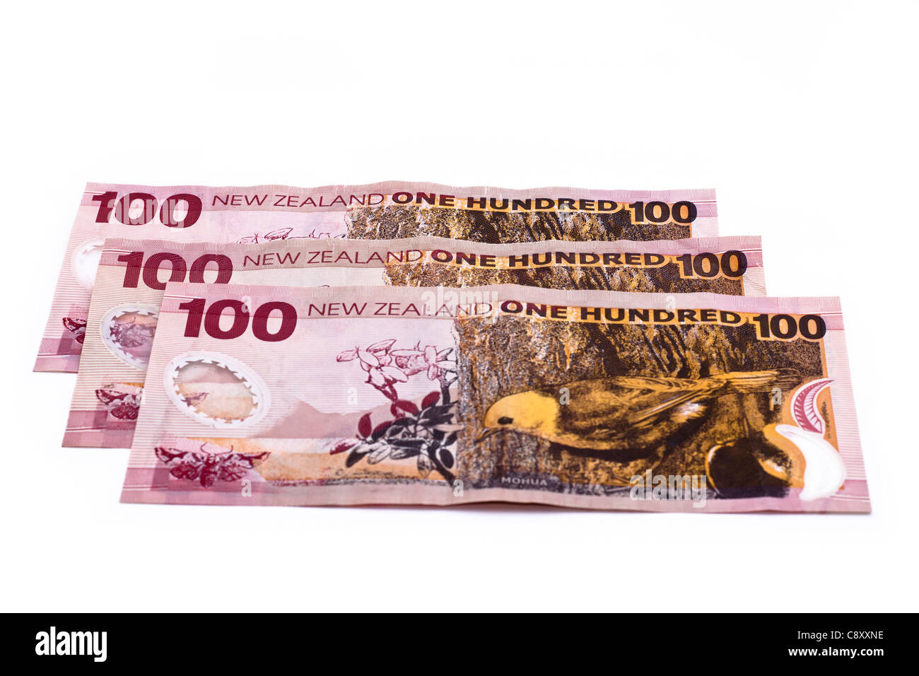 100-Dollar-Noten in Neuseeland Währung, isoliert auf weißem Hintergrund. Stockfoto