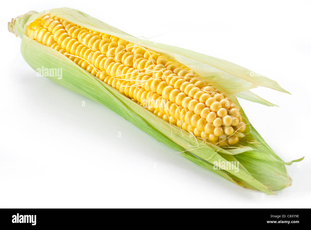 Mais auf weißem Hintergrund Stockfoto