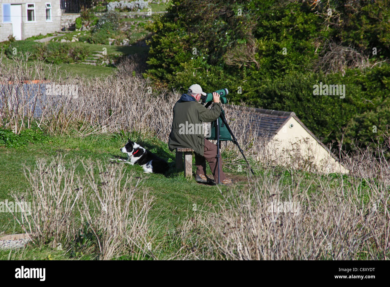 Vogelbeobachter und sein Hund über Lulworth Cove auf der World Heritage Coast in Dorset England UK Stockfoto