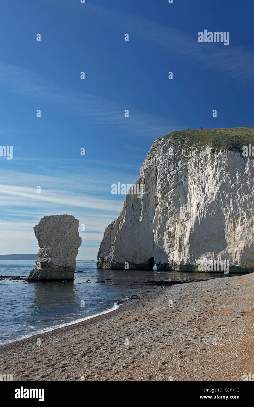 Butter-Rock und Bat den Kopf auf der World Heritage Coast in Dorset England UK Stockfoto