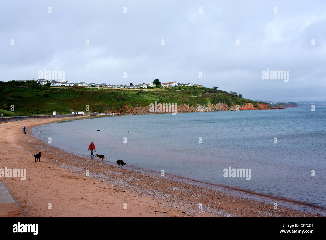 Hunde zu Fuß entlang des Strandes bei Broadsands in der Nähe von Paignton, Devon, England. Stockfoto