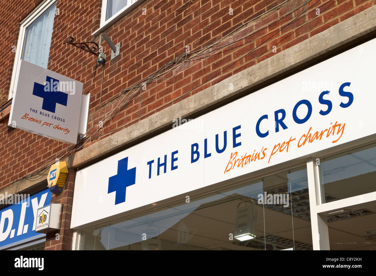 Das blaue Kreuz Haustier Nächstenliebe Zeichen, Ledbury Stockfoto