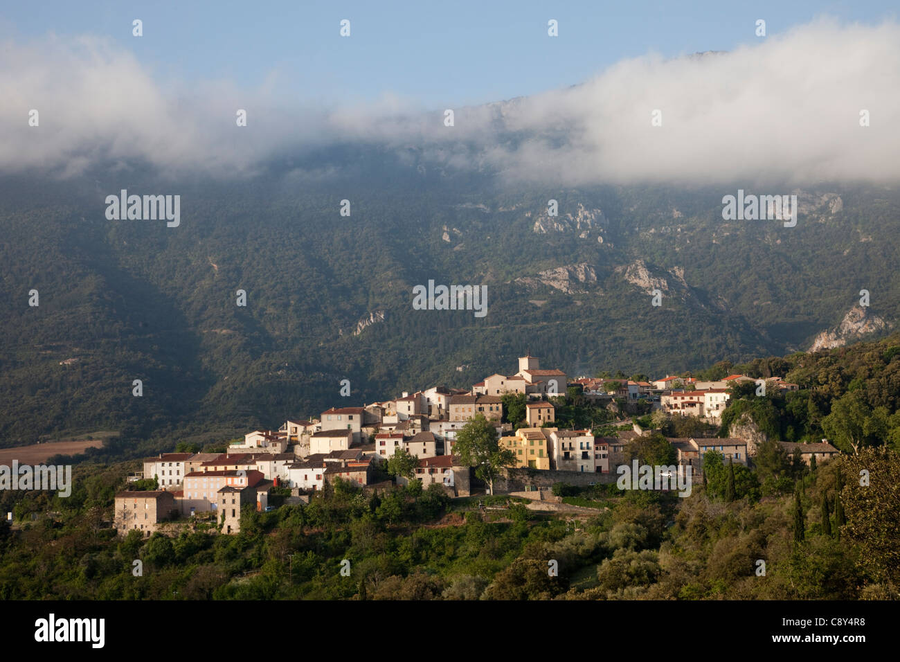 Frankreich, Languedoc-Roussillon, Aude, Pyrenäen, Duilhac-Sous-Peyrepertuse Stockfoto