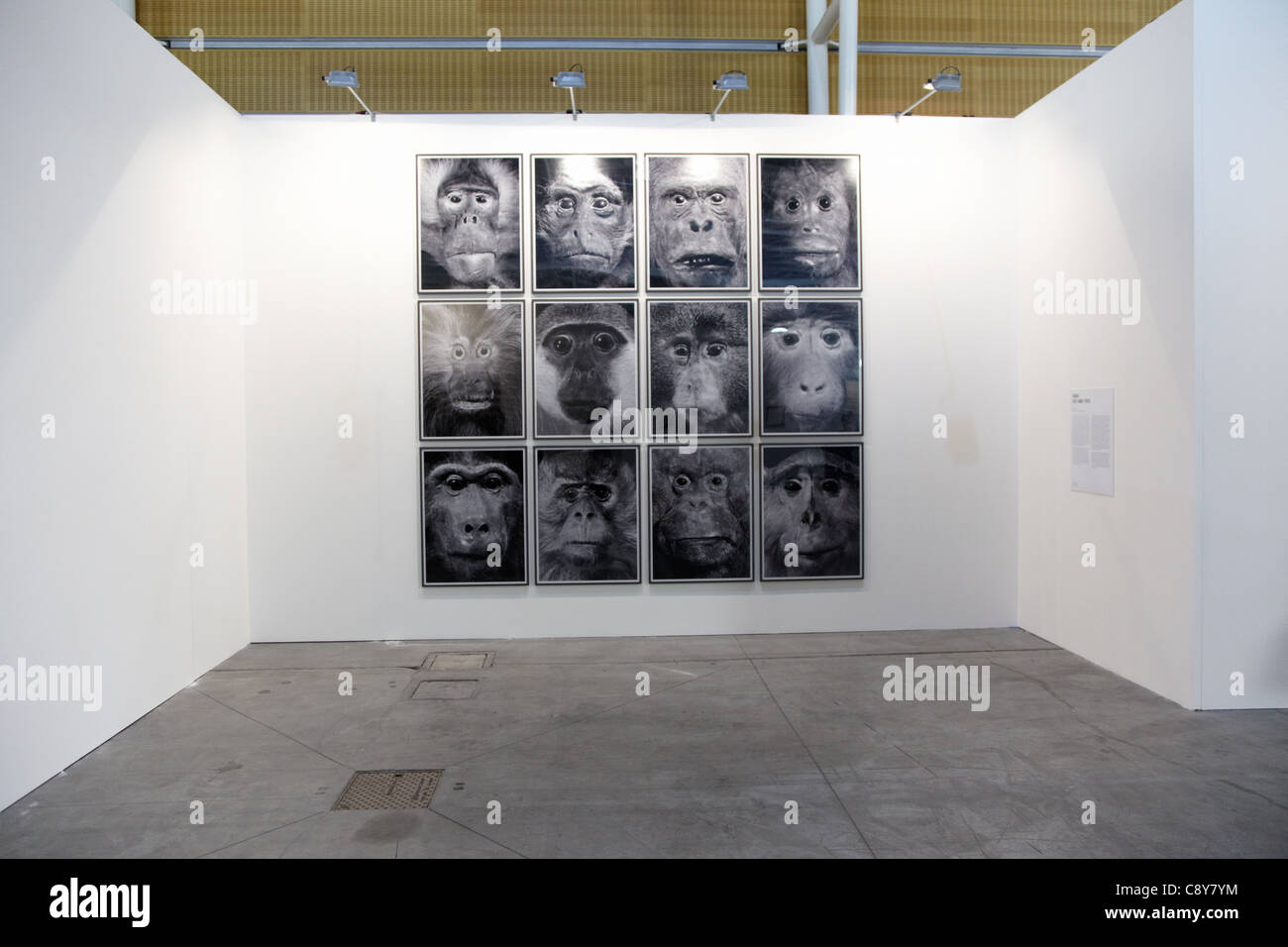 Artissima, Turin 2011, internationale Messe für zeitgenössische Kunst Stockfoto