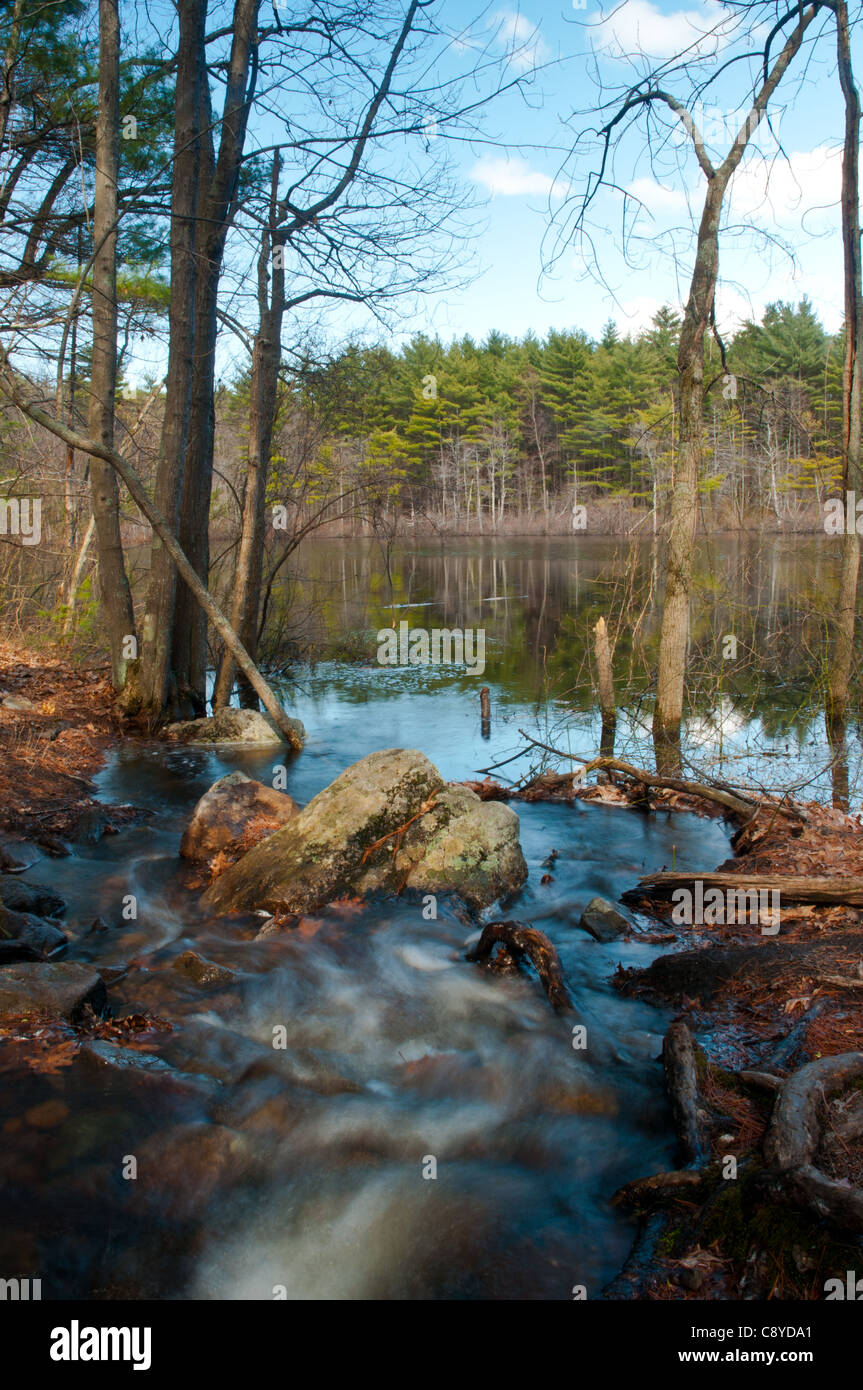 Kleiner Bach Teich in Harold Parker State Forest, Andover, MA eingeben Stockfoto