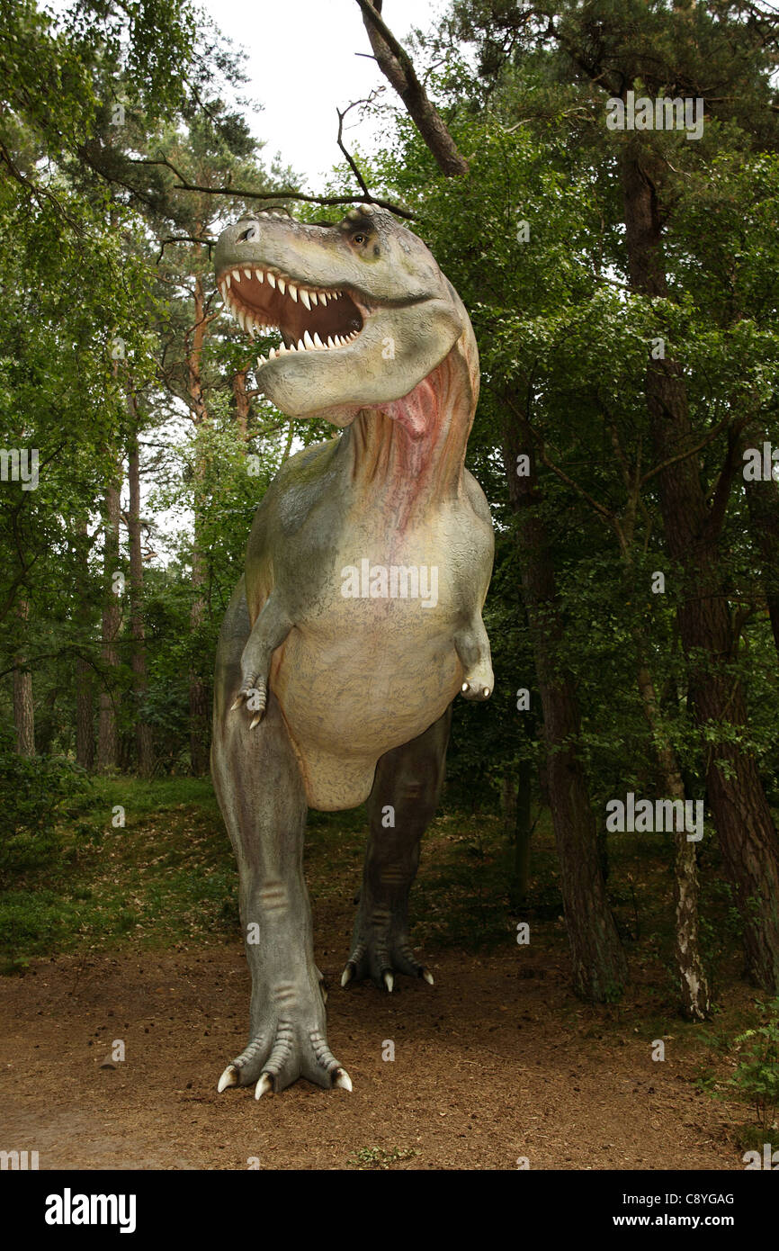 Tyrannosaurus Rex (Tyrann Eidechse) in Leba Park (Dinosaurier Freizeitpark), Polen Stockfoto