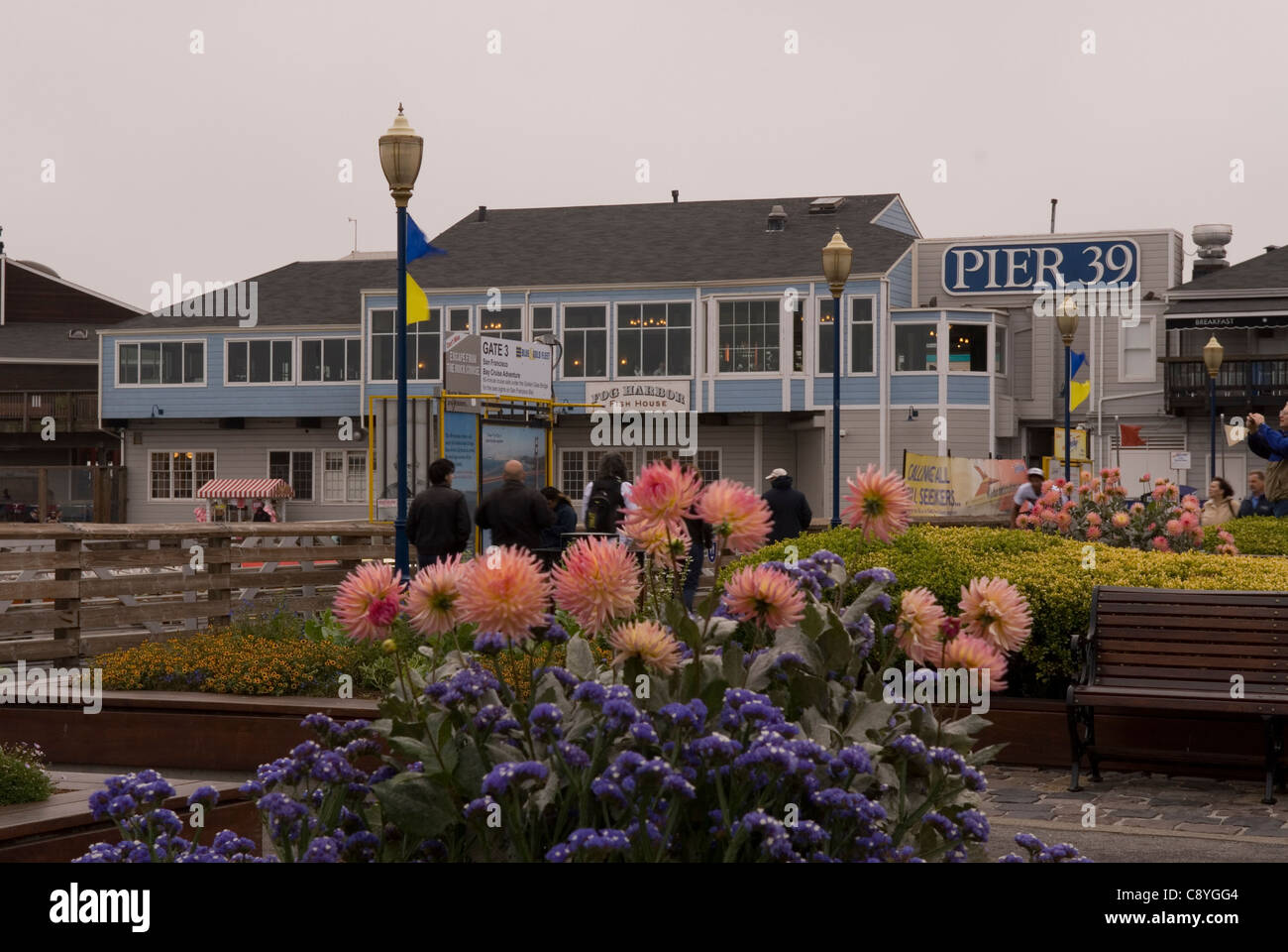 Pier 39 am Fishermans Wharf San Francisco CA USA Stockfoto