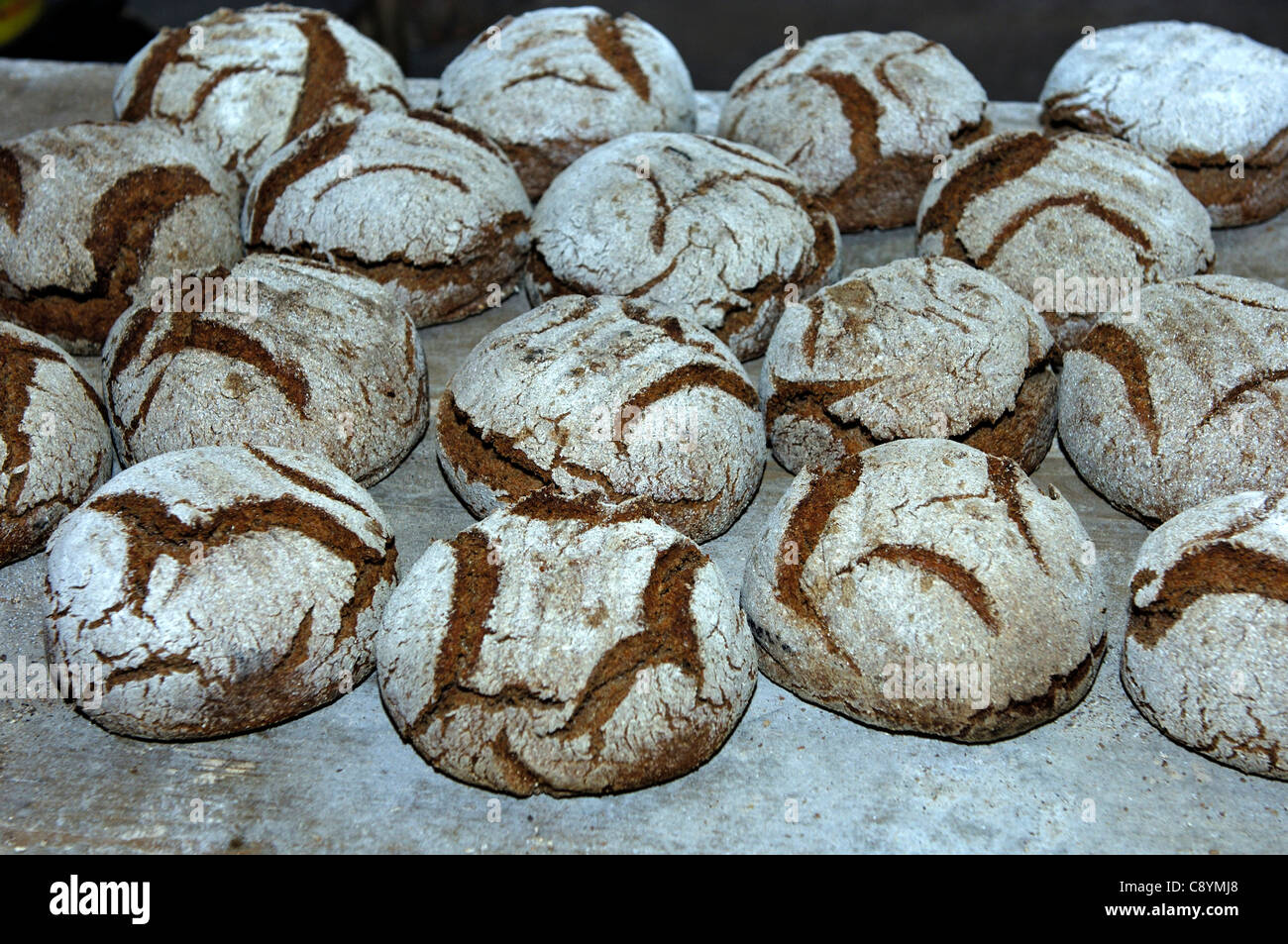 Frisch gebackene Walliser Roggen Brot, Erschmatt, Wallis, Schweiz Stockfoto