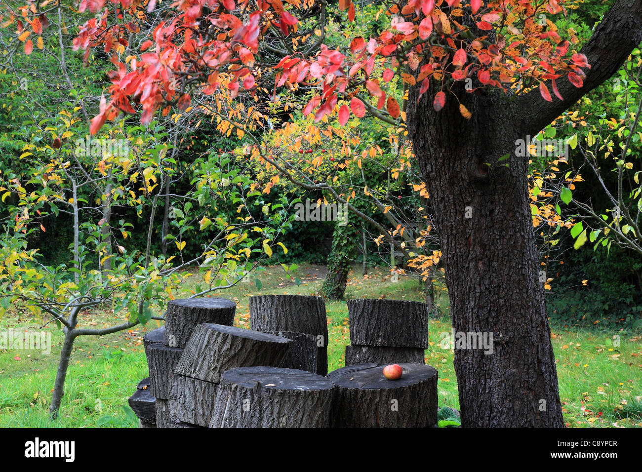 Southside Gartenhaus Wimbledon London England Stockfoto