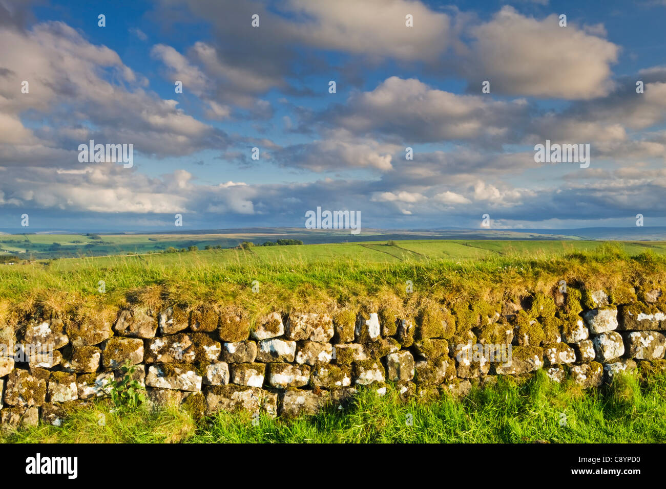 Der Hadrianswall bei Stahl-Rigg mit Blick auf zweimal gebraut in der Northumberland National Park, England Stockfoto
