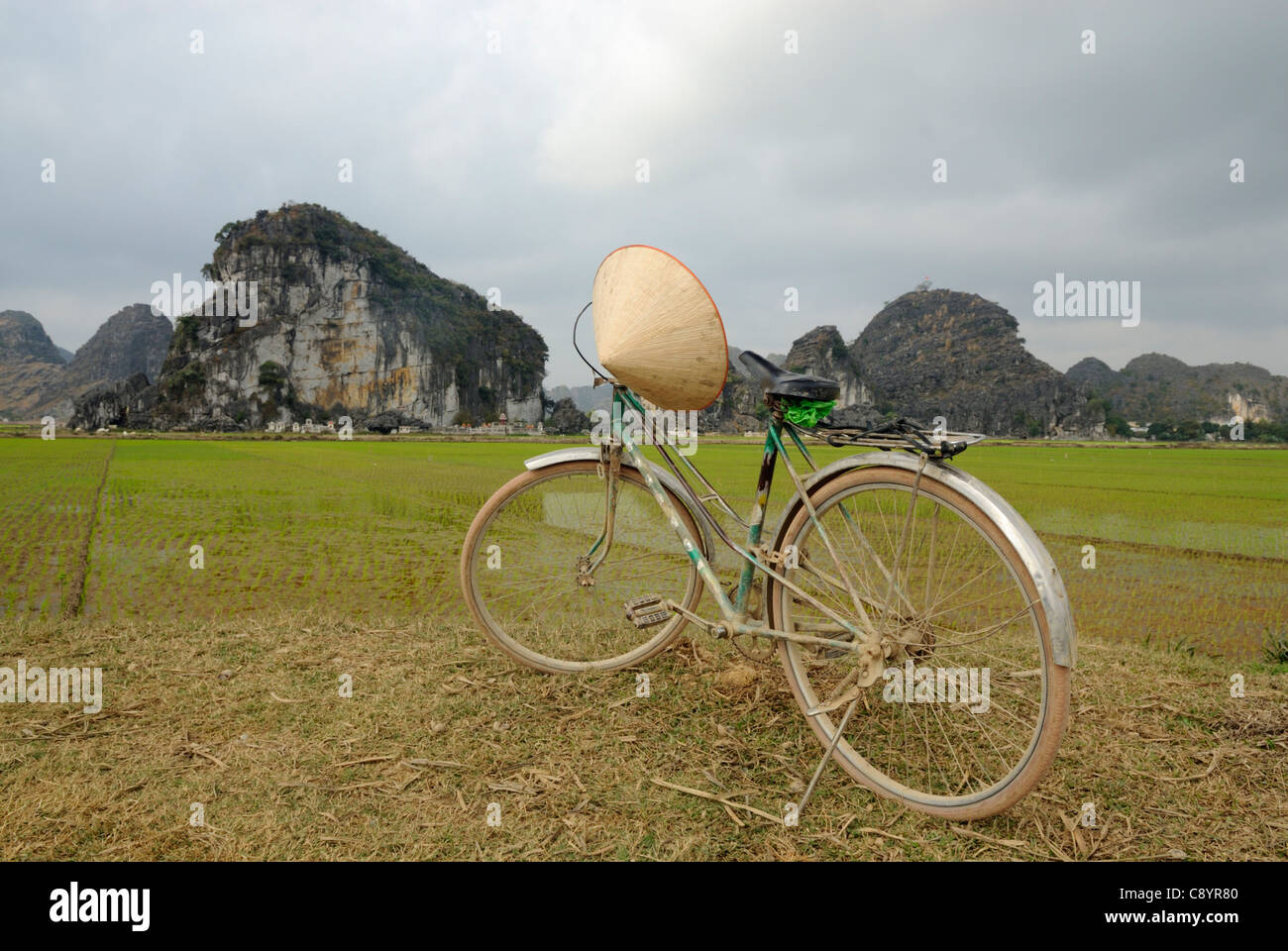 Asien, Vietnam, Ninh Binh, in der Nähe von Hoa Lu. Fahrrad und Reis Feld in den Staedten Landschaft der Halong Bucht an Land... Stockfoto