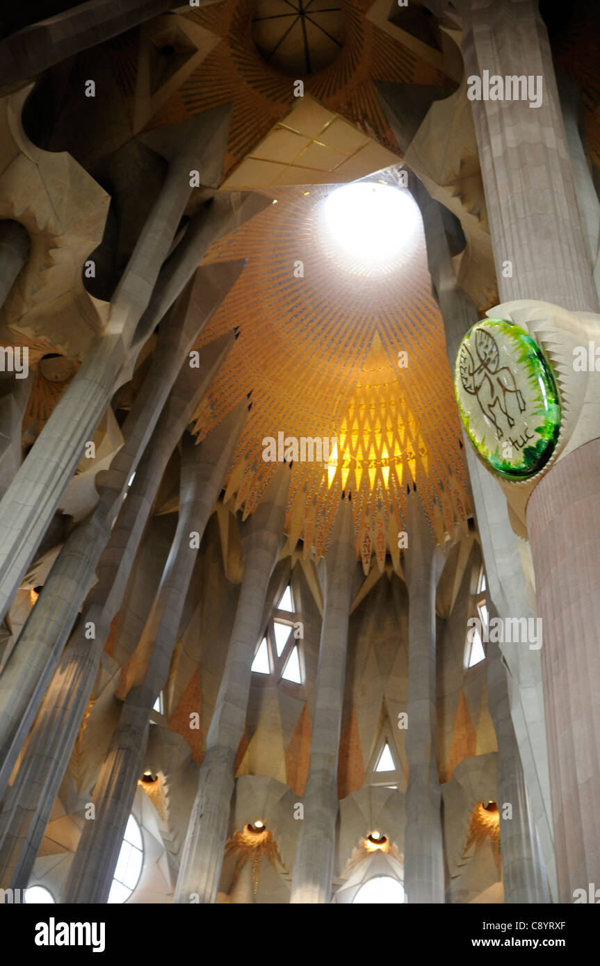 Innenraum des Basílica y Templo Expiatorio De La Sagrada Familia, Barcelona, Spanien Stockfoto