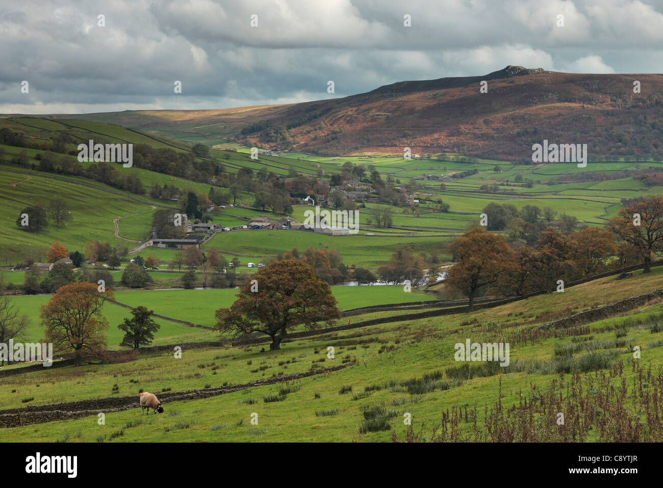 Herbst in Appletreewick und Wharfedale mit Simons Sitz sichtbar in der Ferne Stockfoto