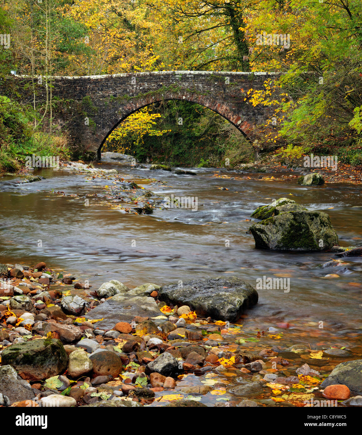 Herbstliche Farben umgeben den Steg befindet sich gerade hinter der Kessel Kraft in West Burton, Yorkshire, England Stockfoto