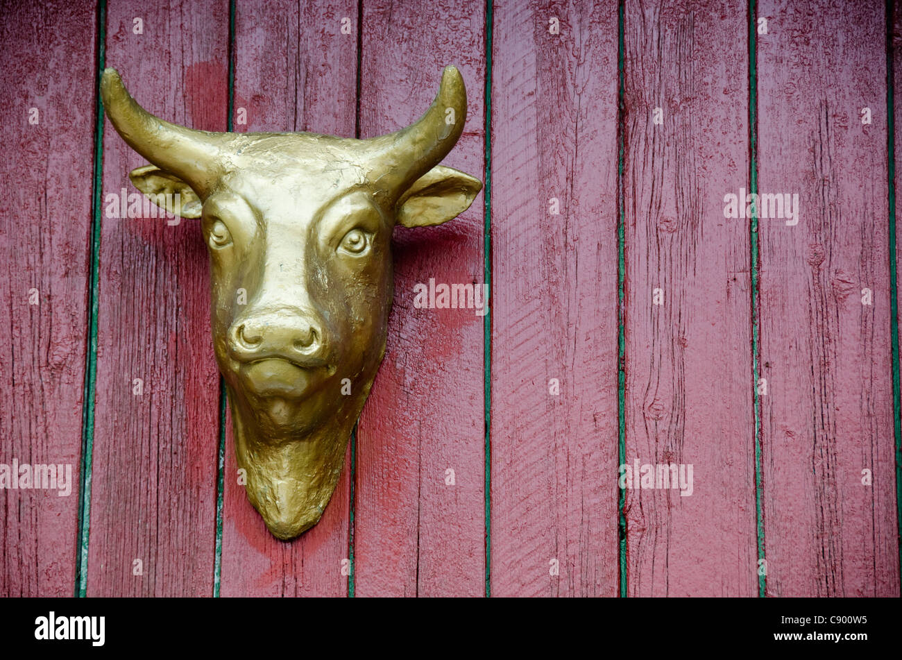 Goldenen Kopf einer Kuh auf einer roten Wand als Werbung für eine Metzgerei Stockfoto